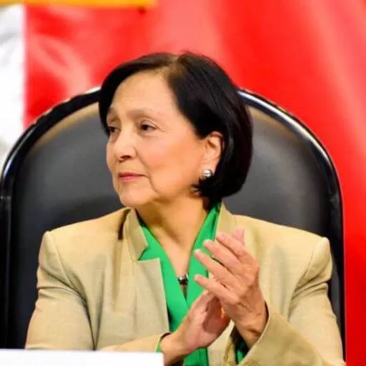 Amalia Garcia, Mexican Politician